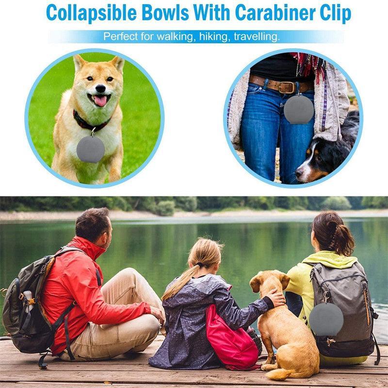 Double Collapsible Pet Feeding Bowl Set - Convenient And Portable Dog